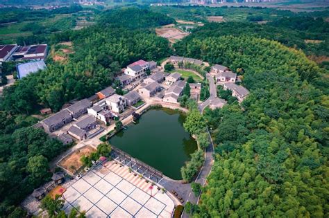 房間可以養鬥魚嗎|鬥魚飼養相關資訊